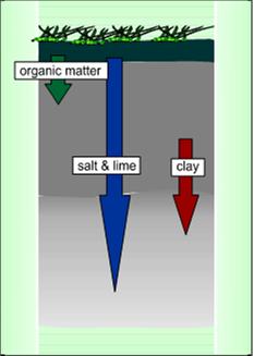 1.6 Tprak luşum süreçleri Değişimler (Kimyasal ve Fiziksel Ayrışmalar) [Transfrmatins] tprak yapı unsurlarının değişimi. Mineral ayrışması, rganik madde parçalanması.