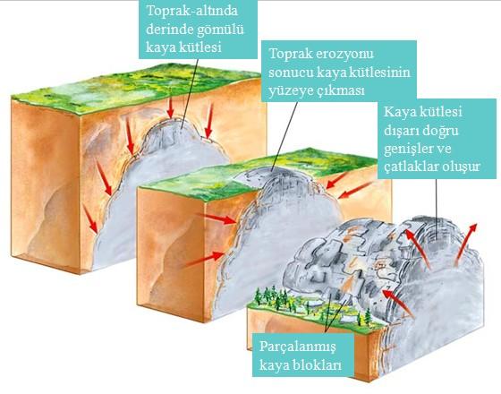 Şekil.