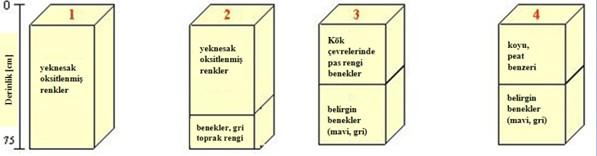 Tpgrafya veya röliyef, knumsal tprak farklılaşmasının önemli bir nedeni labilir.