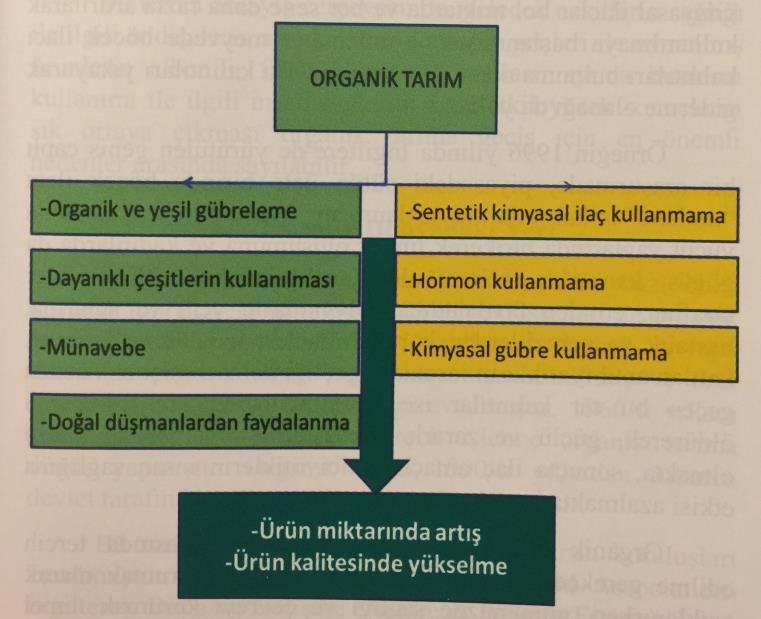 hazırlanır. Zararlıların risk oluşturacak kritik düzeye ulaşması halinde doğal ve kullanımına izin verilen ilaçlar kullanılır.