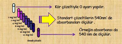 Uygulama 1 er ml 1-12mg BSA proteini içeren standartlar (1, 2, 4, 6, 8, 10, 12 mg/ml) ve tayini yapılacak protein örneği ve kör