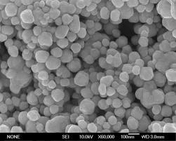 İnert doğası ve güçlü antimikrobiyal etkisi nano gümüşü gıda işleme ve medikal ekipman endüstrisinde cazip bir seçenek haline getirmiştir.