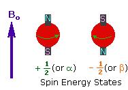Spin hareketi yapan bir çekirdeğin, manyetik alan içerisinde kaç değişik şekilde yönlenebileceği (2 I +1) formülü ile hesaplanır. NMR da en önemli çekirdekler 1 H, 13 C izotoplarının çekirdekleridir.