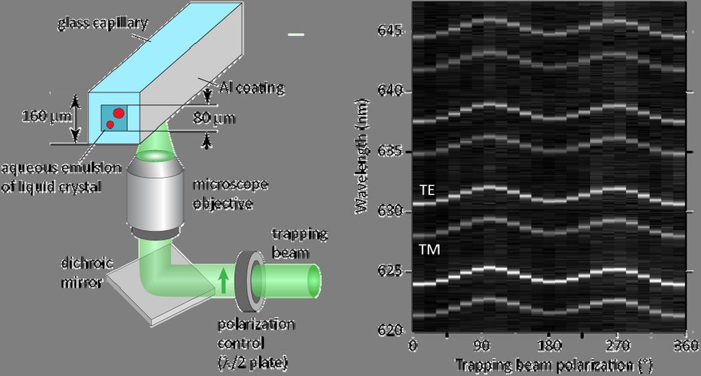 7 Tuzaklama Lazer Hüzmesinin Polarizasyonunun Kontrol Edilmesiyle SK Emülsiyon Mikrodamlalarının Işıma Spektrumlarının Taranması Şekil 6-2 de gösterildiği gibi, bipolar SK mikrodamlalarının uzaysal