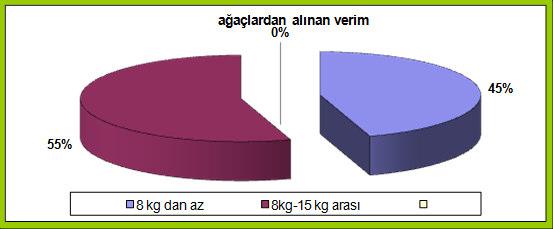 1. grup; 8 kg dan az verim alan üreticiler, 2. grup; 8 kg-15 kg arası verim alan üreticilerdir. Analiz sonuçlarına göre üreticilerin % 45 i 1. grupta, % 55 i ise 2. grupta yer almaktadır (Şekil 3).