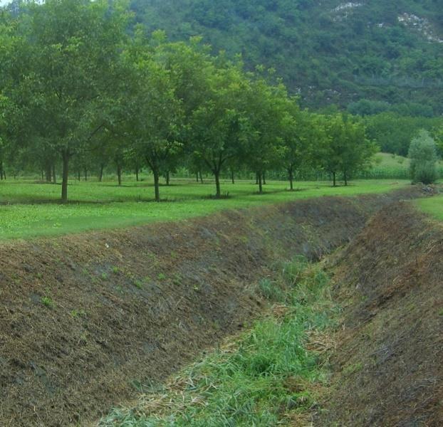 DRENAJ Kapama ceviz bahçelerinin mutlaka drenaj sorunu olmayan topraklarda kurulması, özellikle de taban arazilerde kurulmuş bulunan kapama bahçelerin drenaj kanallarına sahip olması önemlidir.