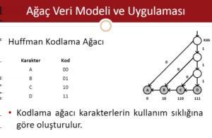 Kodlama tablosunda kod uzunluğu log2n bağıntısından hesaplanır. N=4 için log24=2 bulunur.