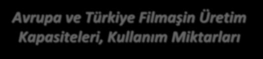 Miktar (x1000 Ton) Avrupa ve Türkiye Filmaşin Üretim Kapasiteleri, Kullanım Miktarları