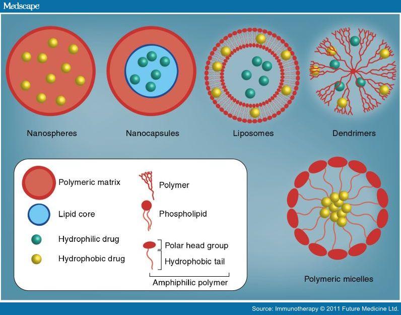 Nanopartiküller Hem hümoral hem de hücresel immün cevabı arttırırlar.