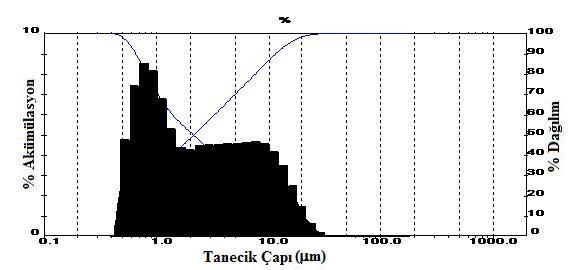 123 EK-5 K1 ve K3 nanokompozitlerin tanecik