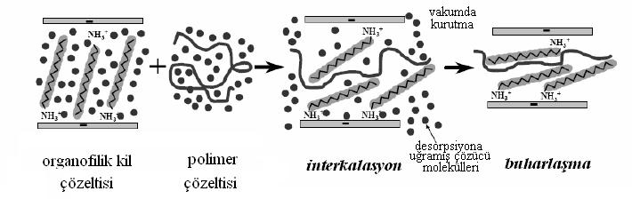 (ii) Çözeltiden polimerin interkalasyonu yöntemi Polimer ve organokilin dağılımını sağlamak için bir çözücü kullanılır.