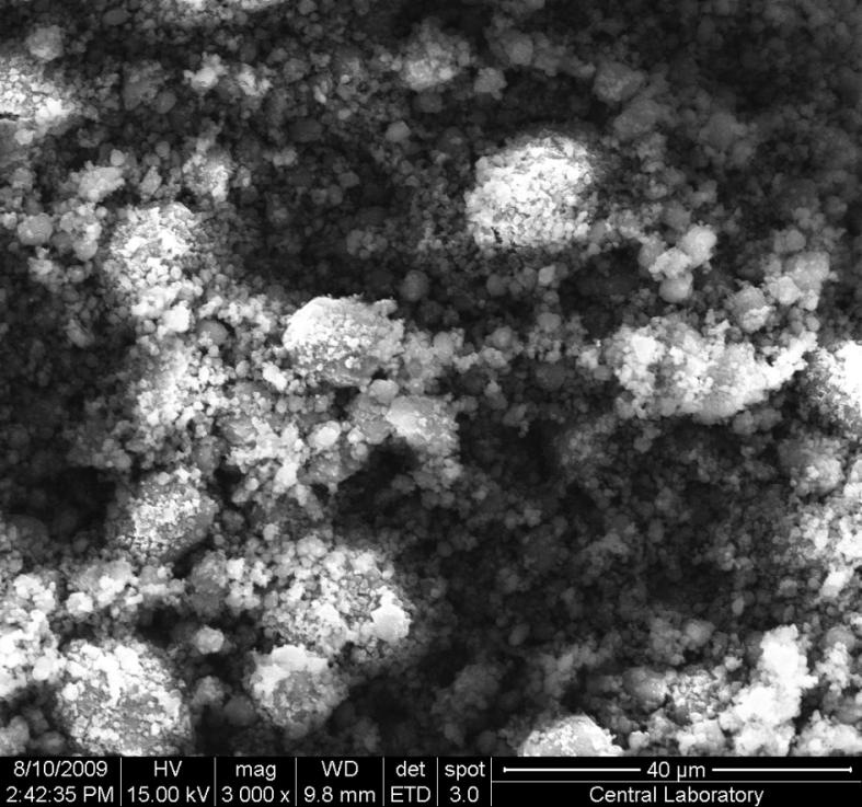 61 c Resim 4.1 (Devam). SEM görüntüleri (3000X): c) K2 4.7.