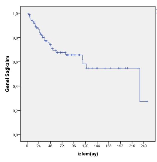 4. BULGULAR 4.1. Genel Sağkalım Değerlendirmeye alınan 86 hastanın RT sonrası medyan 53 ay (3-246 ay) takip edilmiştir. Hastaların, çalışma sonunda 57 si (%66.3) yaşıyordu, 29 u (%33.