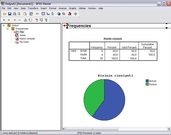 SPSS Dosya