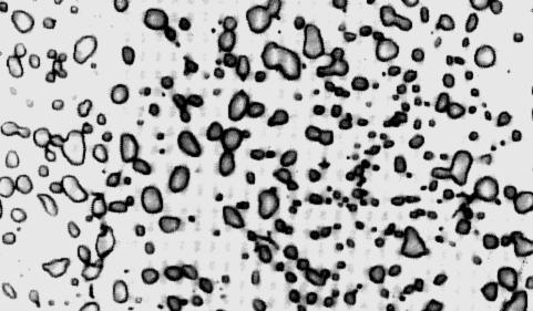 Sınıflandırma: Tanecik-Takviyeli(i) Tanecik-takviyeli Elyaf-takviyelid Yapısal Examples: - Spheroidite steel matris: