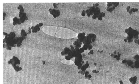 4, Callister & Rethwisch 8e. (Fig. 16.4 is courtesy Carboloy Systems, Department, General Electric Company.