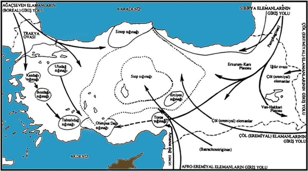 1402 BOZKIR IN KEMİRİCİ HAYVANLARI GİRİŞ Türkiye, zoocoğrafik konumu, topografyası, iklim değişiklikleri ve jeolojik devirlerdeki değişimlerden dolayı biyolojik çeşitlilik bakımından zengin bir