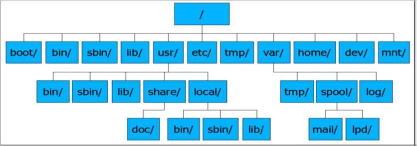 Linux Dosya ve Dizin Yapısı Dosya ve Dizin Sistemi Linux te kök dizin (/)