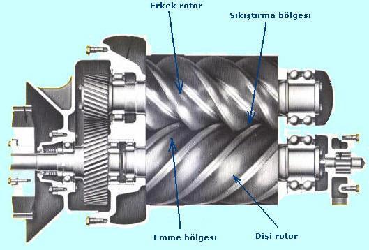 Vidalı