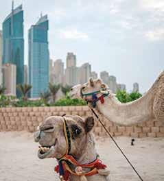 GAZETEM TURİZM 9 Tatil beldelerine ilgi artacak Dubai turistlerden vergi alacak Arap Emirlikleri Arabian Businnes gazetesinde yer alan habere göre, Dubai, EXPO -2020 Uluslararası serginin finanse