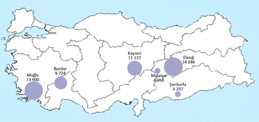 Türkiye'de Gökkuşağı Alabalığı (Oncorhynchus mykiss, Walbaum, 1792) Yetiştiriciliğinde Kapasite, Arz ve Fiyat Gelişmeleri Nitekim 1994 yılında işletmelerin yaklaşık % 86'sı, 1-49 ton yıllık