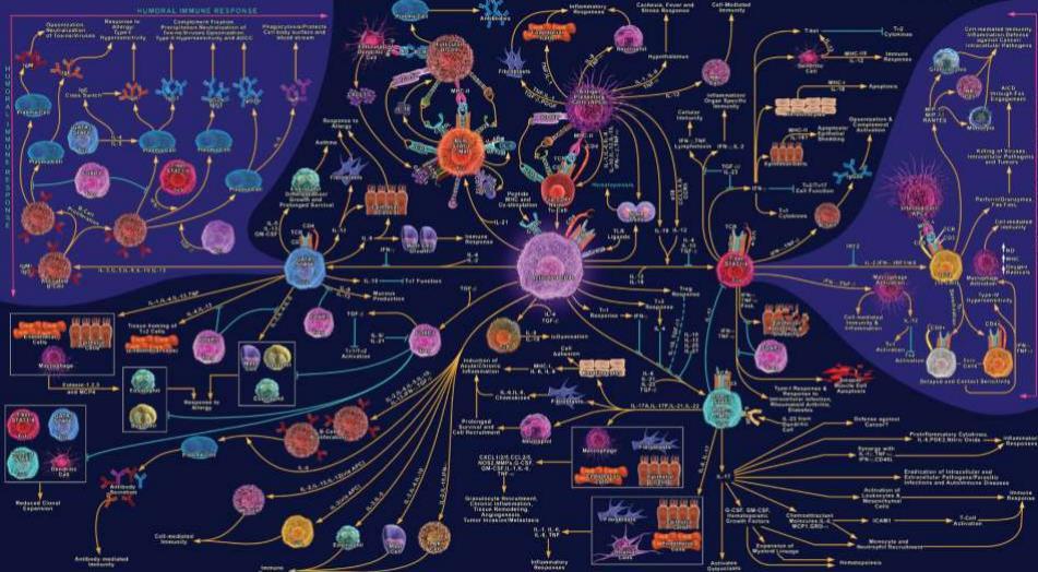 (Ed.), Biochemical Pathways, John