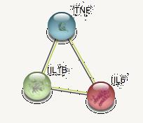 Revers transcriptase-pcr