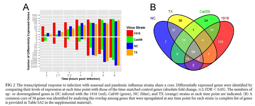 Microarray temelli yöntemler Dört