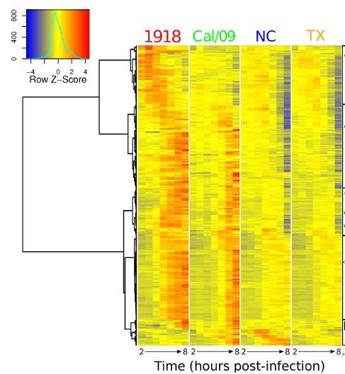 Microarray temelli yöntemler Çalışmanın en çarpıcı ve şaşırtıcı bulgularından biri pandemik ve mevsimsel virüsler tarafından