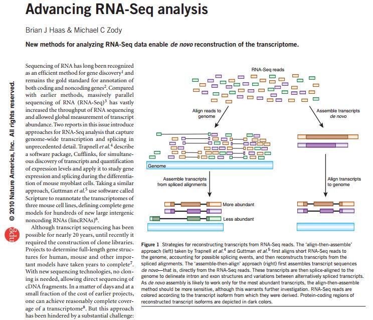 RNA) ayrımını yapabilmesi RNA uç birleşme