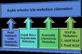 Doğal soğutmalı depolarda sıcaklık, oransal nem ve hava hareketi mümkün olduğunca ayarlanıp sabit tutulmaya çalışılmaktadır.