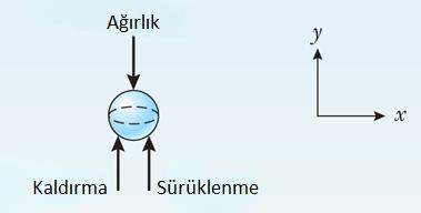 Çözüm v = 0.10 m 9 s F D + F B W = 0 = 0.0111 m/s V = πd3 6 = π 0.