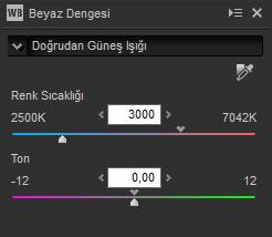 Gri nokta örneği aracı Beyaz dengesi ayrıca görüntüyü örnekleyerek de ayarlanabilir: (Gri Nokta Örneği Aracı) düğmesine tıklayın ve tek bir pikseli örneklemek için görüntünün