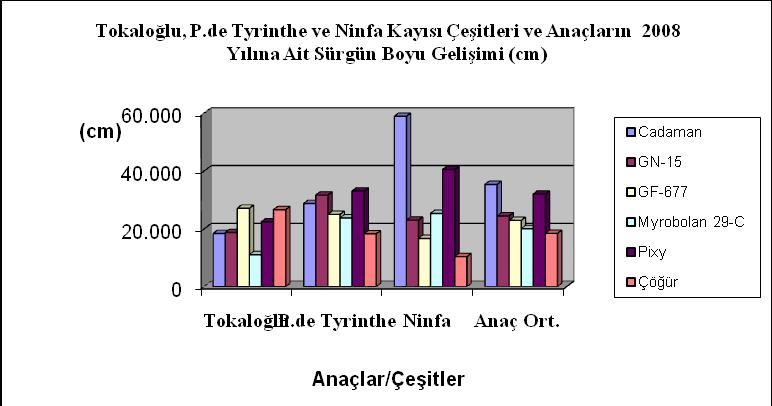 117 gösteren çeģit Ninfa olurken, bu çeģidi Precoce de Tyrinthe (26,746 cm) ve Tokaloğlu (20,719 cm) çeģitleri izlemiģtir.