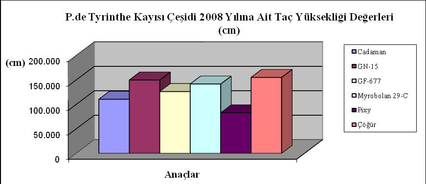131 ġekil 4.132. Denemede yer alan Precoce de Tyrinthe kayısı çeģidinde 2008 yılına ait taç yüksekliği değerleri (cm) ġekil 4.133.
