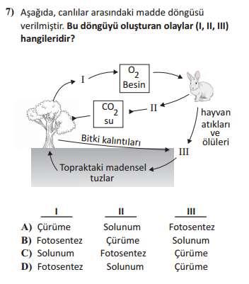 FEN ve TEKNOLOJİ SINAVI ÖRNEK