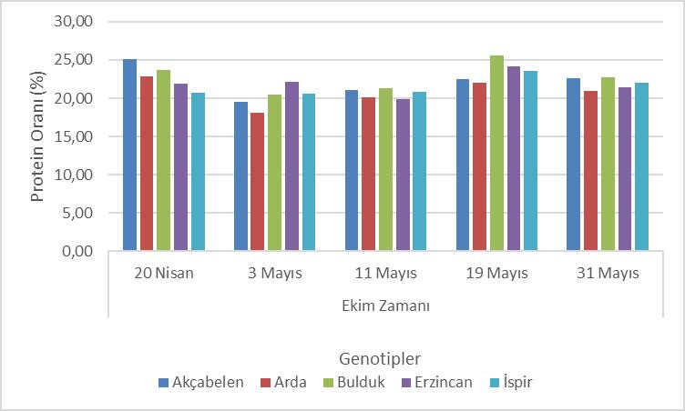 50 Ekim zamanı ile genotiplerin ortalamalarına göre en az protein miktarı ile en çok protein miktarı arasında % 7,43 oranında bir fark ortaya çıkmıştır.