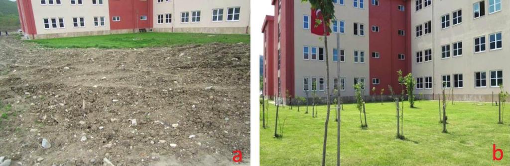 Ayrıca fakülte binasının kuzey doğu yönünde bulunan yaklaşık 650 m 2 lik alanda Malus domestica, Pyrus sp.