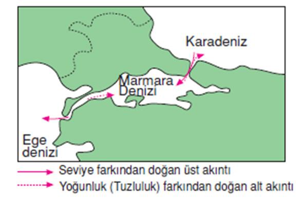 ve Güneş in çekim gücüne bağlı olarak su kütlelerinde periyodik olarak meydana