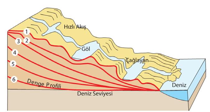 Akarsuyun kazanmış olduğu bu profile denge profili DAHİ ADAM DİYOR Kİ Akarsu yatağının denge profiline ulaşması ağızdan kaynağa doğru aşamalı bir şekilde gerçekleşir.