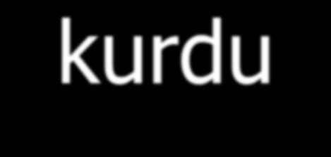 kurdu