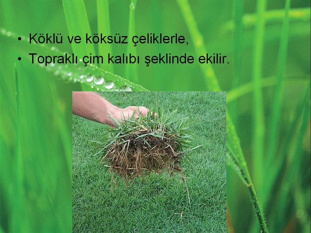 oluşturduğundan