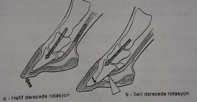 Şekil 78.