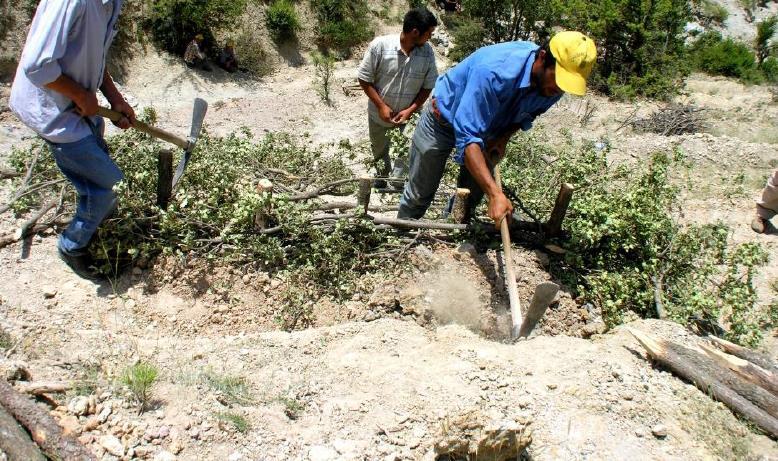 Örme çit yapım tekniği: Hendek kazısından çıkan toprak, örme işleminden sonra tekrar hendeğe doldurularak sıkıştırılır.