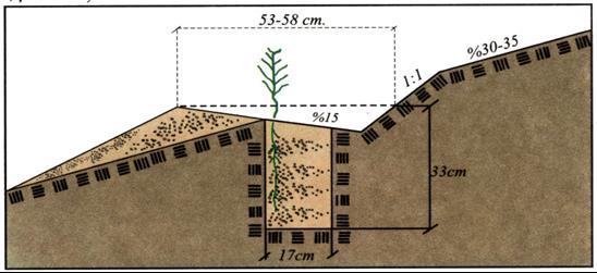 Kanallı gradoni teraslar Kanallı gradoni teraslar eğimi % 60 olan arazilerde uygulanabilir. Teraslar 15-20 cm. genişliğinde ve 30-35 cm.