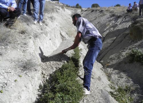 Çalı takviyeli teraslar * İnce kumlu ya da marn yapıdaki