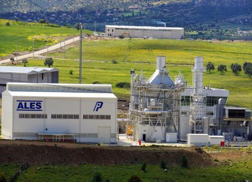 Palmet Enerji PEG (Palmet Elektrik Grup) ALES Ales kısıt alanında olmamasına karşın çalışma saatleri özellikle "peak saatler seçilerek genel ortalamanın üzerinde fiyatlarla satış yapılması