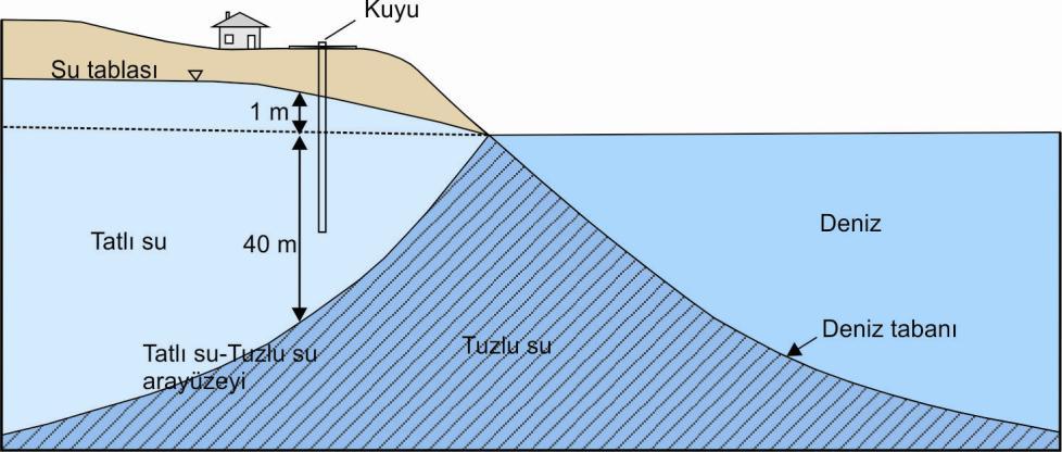 Şekil 3.5. Gyben-Herzberg modeline göre Su tablası derinliği ile tuzlusu ara yüzeyi arasındaki ilişki (Arslan vd. 2011 den revize).