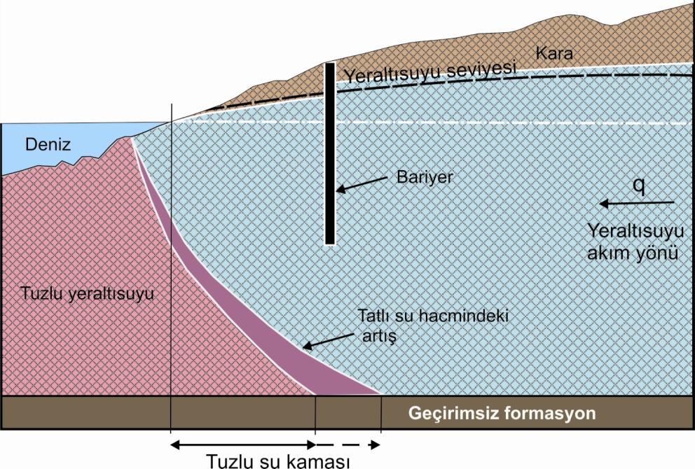 Şekil 3.7. Sahil akiferlerinde tuzlu su girişimini kontrol etmek amacıyla inşa edilen askıda bariyer modeli yeraltı barajı (Luyun 2010) 3.6.