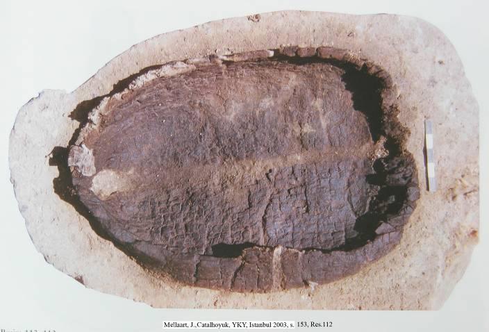 Bölge, Çatalhöyük İnsanına zengin ve çeşitli bir ortam sunuyordu.